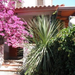 AFFARE! VILLINO ARREDATO