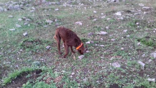 20171121_073947 20171121_073947