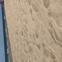 D4045058-CE1F-4E79-B189-F2E1B43C75CE