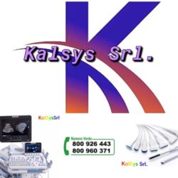 BF8BB027-63AD-4B39-98C2-6488BDDD632F