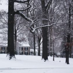 graceland winter