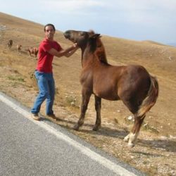 FB_IMG_1531335039546