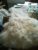 WhatsApp Image 2020-07-12 at 16.31.02 (2)