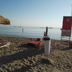 IMG_20200728_072523_BURST002