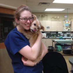 IMG_0004-002-768x1024