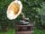 Gramophone Super Master