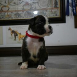 8c678970-c385-476b-9e29-9024fb352816