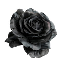 pngtree-a-black-rose-png-image_12486249