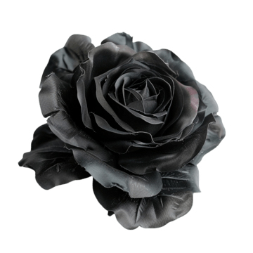 pngtree-a-black-rose-png-image_12486249 pngtree-a-black-rose-png-image_12486249