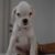 WhatsApp Image 2026-07-15 at 14.56.55 (7)